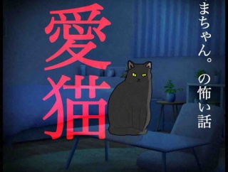 愛猫4
