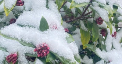 「私の部屋」ができるまで