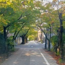 ノーラン監督は好きなんだけど