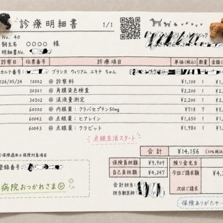 たかシェフのおうちごはん。と、白い犬。と、チワワ。