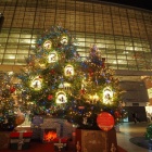 『LAOWA9mmF2.8MFT用によるクリスマスツリー①　2019/12/03』の画像