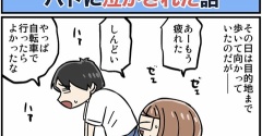 ハトに泣かされた話