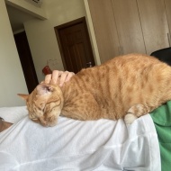 一時帰国してました。