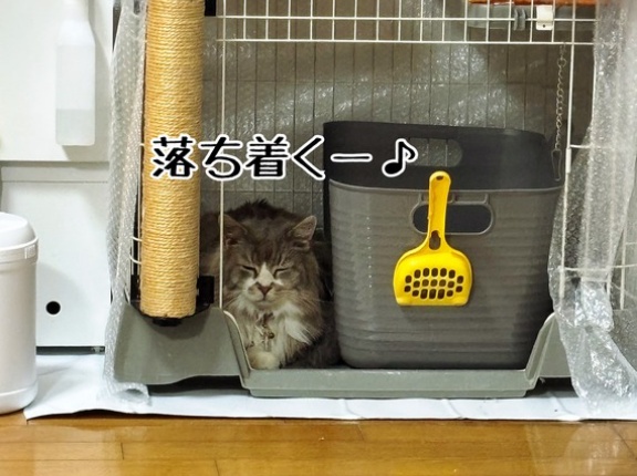 村尾くんのお届けでした。