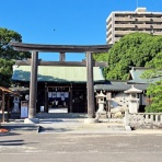 努力の上に花は咲くⅡ