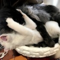 用事があって嫁と電車に乗ってたら・・・女「（俺の腕掴み）この人痴漢です！」嫁「この人はしてません！する訳が無い！！」女「証拠は？」嫁「あるわよ！だってこの人・・・」