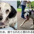 オンライン署名ご協力をお願い致します！