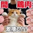 【悲報】ダイエットさん、鶏肉を食べるだけで痩せてしまう