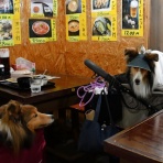 メロディ＆ミニーの写真館