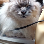 soundprofilerの音楽夜話