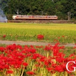 G鉄グラフィティ