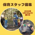 【保育スタッフ募集】　
