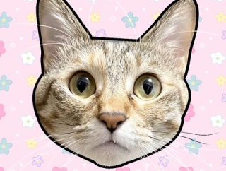 ちぃちゃい生活の変化、あるよね