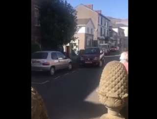  	  私は縦列駐車を諦めない！何度でもぶつかって何とか止めようとがんばる人。海外の反応