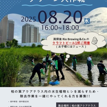 「柏の葉アクアテラス」で繁殖中のヒシを回収する「柏の葉アクアテラスクリーン大作戦」が8月20日に開催