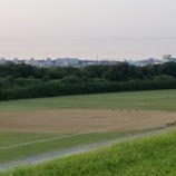 『本日21日(土)は、全グラウンド利用可能です。』の画像