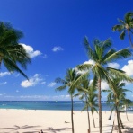 kazuma　ブログ　新参