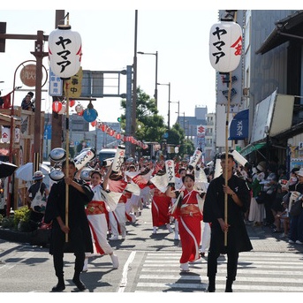宗田節からよさこいに咲いた新風！土佐清水「ヤマア」