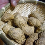 ����ʬƦ�ޤ����������٤β���