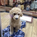 ワンラブ　カインズ広島LECT店のブログ