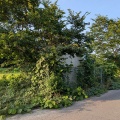 伐採除草作業　国立産業技術総合研究所様