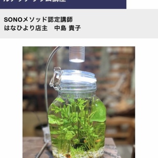 SONOアクアプランツファーム水草･海藻情報局