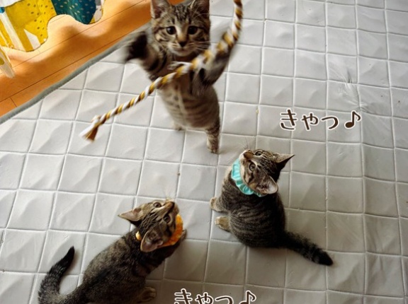 とても元気な下痢んちょ。