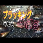 إץå󥰤ǱФ(YouTube)٤β