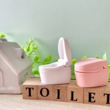  【悲報】俺「新築のトイレは和式にしよう。」嫁「嫌ああああああ！！！」メリットを説明しても納得しないんだが→