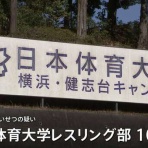 ゴールデンタイムズ