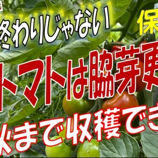 放浪画家「旅びっとん」こと、画家「神田雅志」のブログ　