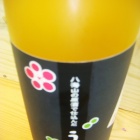 �ؿ�ȯ��! Ȭ�������߼�٤β���