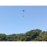 �إɥ������ѡ�ʪ���겼����������ԥƥ��Ȥ��ޤ������٤β���