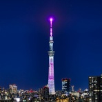 東京スカイツリー定点観測所