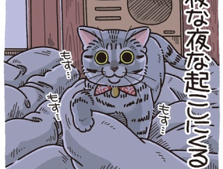 ナイトキャップ