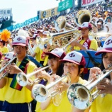 『【高校野球】球児応援曲、AKB48が新定番に　選手が希望・編曲しやすい』の画像