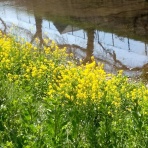 いつも居留守の　在氣呂（imasu_kero）のblog