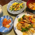 おかんの毎日と食事と猫