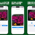 写真の切り抜き - Photo Crop