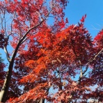 理系店長の車いすネット販売日記 "ほぼ毎日更新"『It Works!』