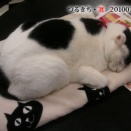 選88／つるぶとん3