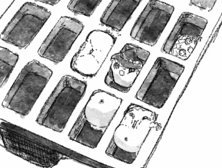 【合体あき】合体あきの単品絵と短編集 2