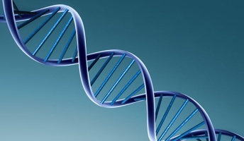 友達は5代前の先祖を共有する親戚!?『1%の遺伝子同じ』