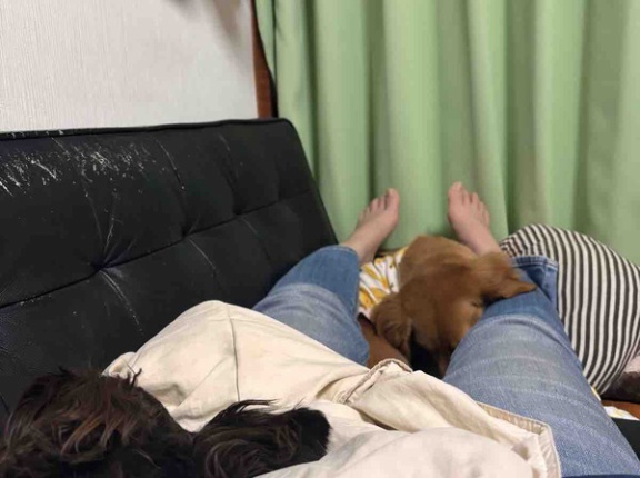 メンテナンスの日。