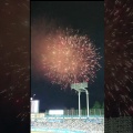 夜空に咲く大輪の花！