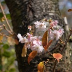 「藍川京」の部屋
