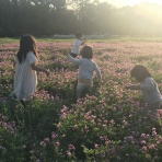 ねこのきもち/パート２