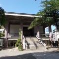 新宿ペンギンバザール＆常圓寺