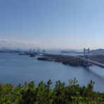 ９球入魂