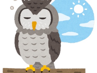 フクロウの赤ちゃんの寝姿とかいう絶対かわいいはずの画像ｗｗｗｗｗｗｗｗｗｗ